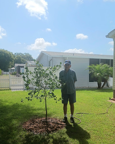 A man capturing his plant grow.