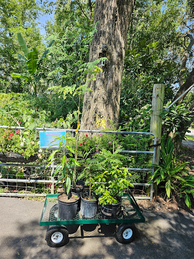 A different kinds of potted plants carried by a wheeled cart