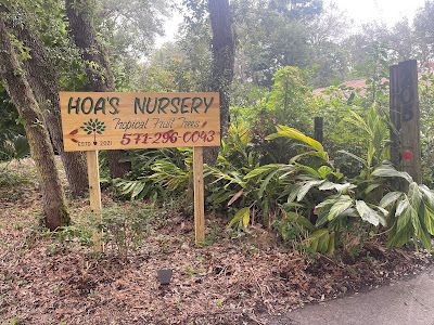 A signage that leads to a nursery garden